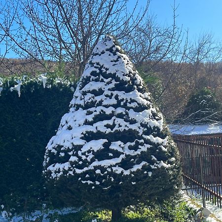 Apartament La Petite Maison Ateleta Zewnętrze zdjęcie